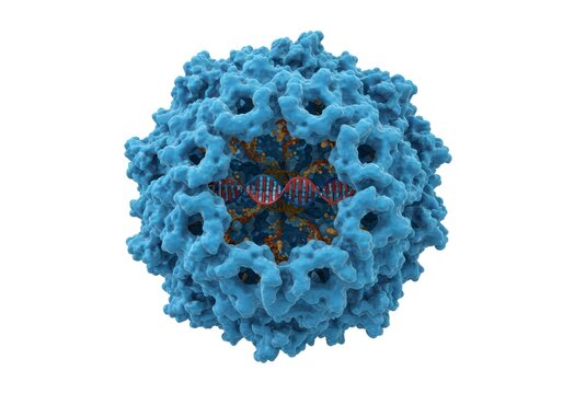 Scientific Visualization of Adeno-Associated Virus (AAV) in High-Resolution 3D