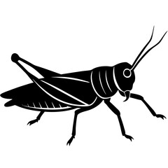 Grasshopper silhouette vector on a white background