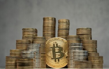 Koncepcja inwestowania, gromadzenia funduszy online bitcoin, transfer krypto waluty.
