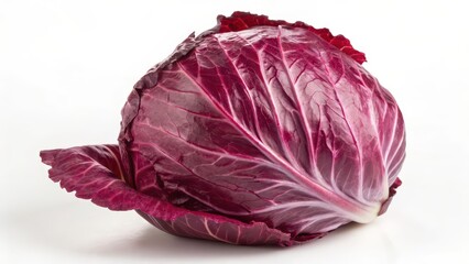 Obraz premium Red Radicchio on White Background