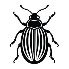 colorado potato beetle vector illustration