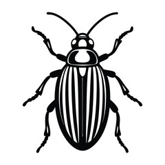 cucumber beetle vector illustration