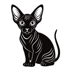 devon rex vector illustration