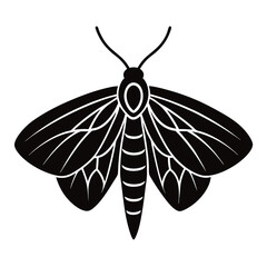diamondbck moth vector illustration