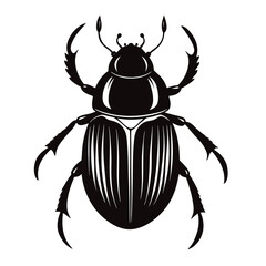 dung beetle vector illustration