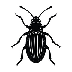 flea beetle vector illustration