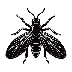 jassids vector illustration