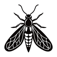 soybean looper vector illustration