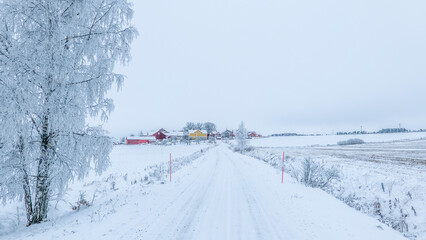 Cold winter landscape with snow and frost