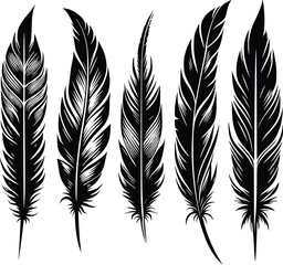 Obraz premium Four black feather silhouettes with sharp edges and detailed barbs, minimalist graphic design with tribal and quill pen motifs