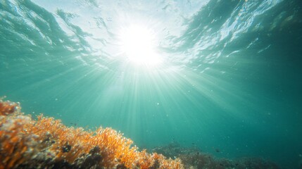 Obraz premium Underwater sunlight rays penetrating turquoise ocean surface with orange coral reef below. Natural marine ecosystem. Scuba diving and snorkeling background with sunbeams