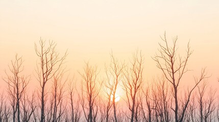 Obraz premium Bare tree branches silhouetted against pink and orange sunset sky with sun disk. Minimalist winter landscape panorama with empty trees at dusk. Nature background with copy space