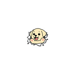 Cute labrador retriever puppy break through the paper cartoon, vector illustration
