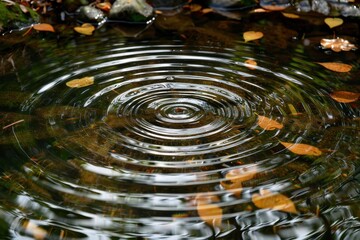 Beautiful ripples on water surface reflecting autumn colors in a serene natural setting at a peaceful lake during daytime