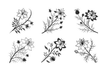 Love-in-a-Mist (Nigella damascena) silhouette vector illustration