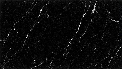 Elegant black marble with soft white veins perfect for countertops