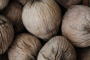 Dried Coconuts: Natural Texture and Patterns