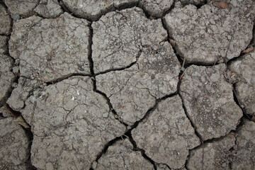 Cracked Earth: Dry and Barren Land