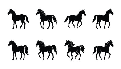 Horses silhouettes on white background

