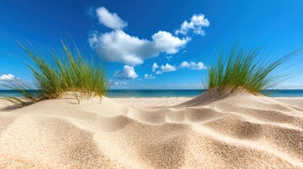 Windswept coastal dunes with soft golden sand and wild grass swaying under a dramatic sky