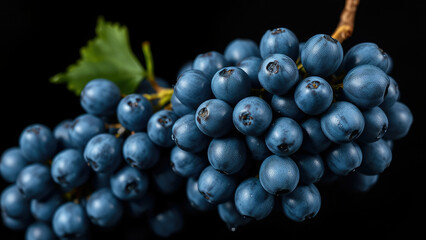 Fototapeta premium Fresh blue grapes with water splashes on dark background, fruit, texture, natural