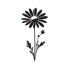 daisy silhouette vector style with a white background