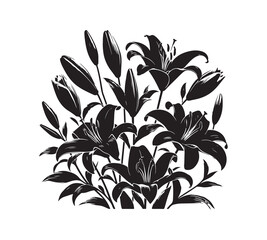 lilies vector silhouette style with white background