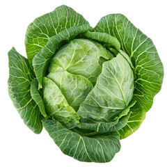 Fresh green cabbage with vibrant leaves, showcasing its natural texture and color. Perfect for salads, cooking, or garnishing dishes
