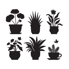 set of plants