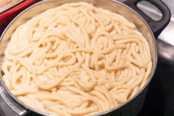 Preparing the tradionanl swabian pasta spaetzle