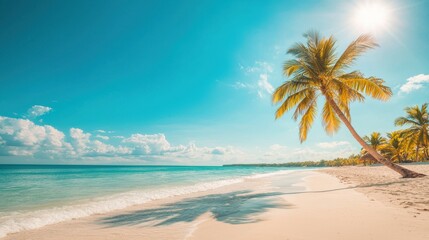 Obraz premium Tropical Beach Scene with Palm Trees and Clear Blue Ocean Water