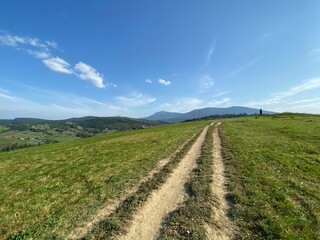 Obraz premium road in the field