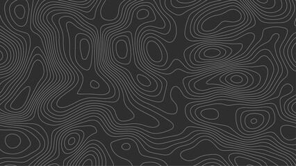 he grey white on black contours vector topography stylized height of the lines. The concept of a conditional geography scheme and the terrain path.