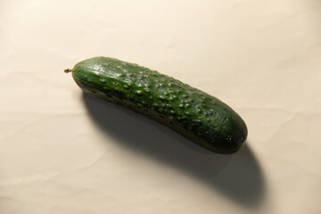 fresh green cucumber