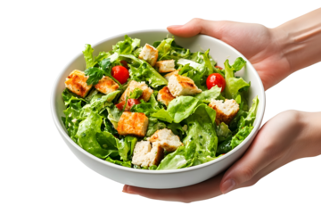 Hand holding bowl of Caesar salad Isolated on white background.