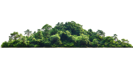 Mountain range with green plants on transparent background. high resolution PNG file