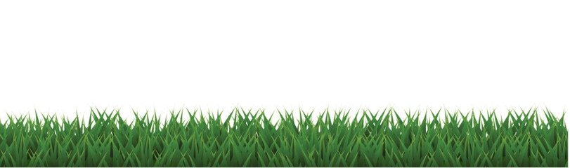 Obraz premium green grass background