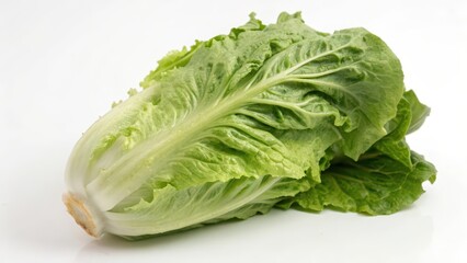 Cos Lettuce on White Background