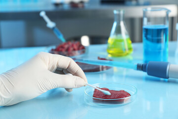 GMO concept. Scientist with swab and piece of meat at table in laboratory, closeup