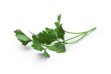 Sprig of fresh parsley isolated on white