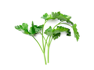 Fototapeta premium Sprigs of fresh parsley isolated on white, top view