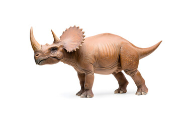 Fototapeta premium Dino triceratops isolated on white background