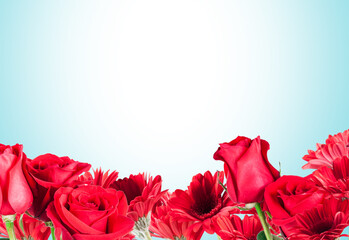 beautiful red Gerberas and Roses for Valentine's Day