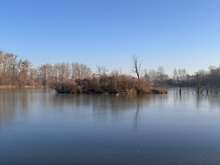 A small island with leafless trees and bushes emerges from a calm lake, reflecting the blue sky. The still water and clear winter light create a peaceful, isolated, and natural atmosphere.