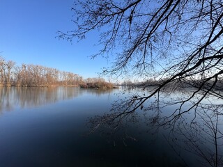 A tranquil lake reflects the blue sky, surrounded by leafless trees. A few branches extend into the frame, adding depth. The calm water and clear winter light create a peaceful natural scene.