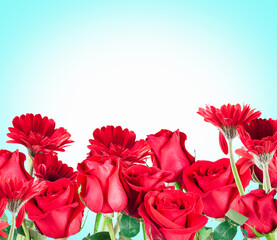 beautiful red Gerberas and Roses for Valentine's Day