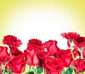 beautiful red Gerberas and Roses for Valentine's Day