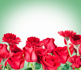 beautiful red Gerberas and Roses for Valentine's Day