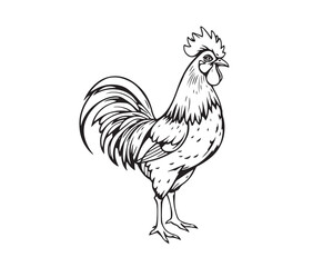 Line art illustration, black and white, of a cock in Isekai anime style with a blurred bokeh effect. Expressive composition, sharp subject focus, soft background. Clear background for easy coloring.