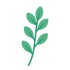 eucalyptus leaf icon design
